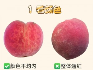 蜜桃 my1688com 甜美多汁，回味无穷