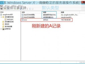 日本 Windows Server 片：高效稳定的服务器操作系统，为企业提供可靠支持