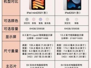 如何确保 iPad mini6 的秘密入口安全