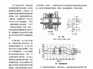 关于MT3培养药剂资质与影砂作用的多维度分析：以某功能领域的具体案例探讨为核心报告