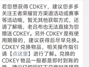 王者荣耀cdkey获取指南