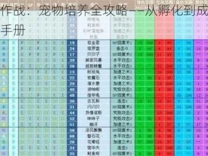 怪物大作战：宠物培养全攻略——从孵化到成长的每步指导手册