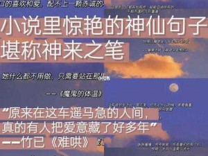 zw 时看的文案小说，让你体验前所未有的刺激