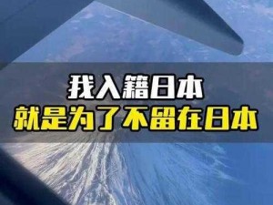 日本一卡 2 卡 3 卡 4 卡无卡免费网站，优质资源免费分享