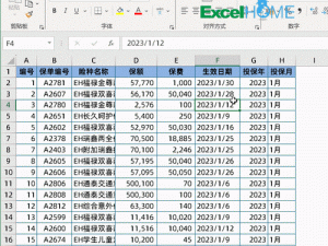 老外精美 excel：数据处理神器，让你的工作更高效