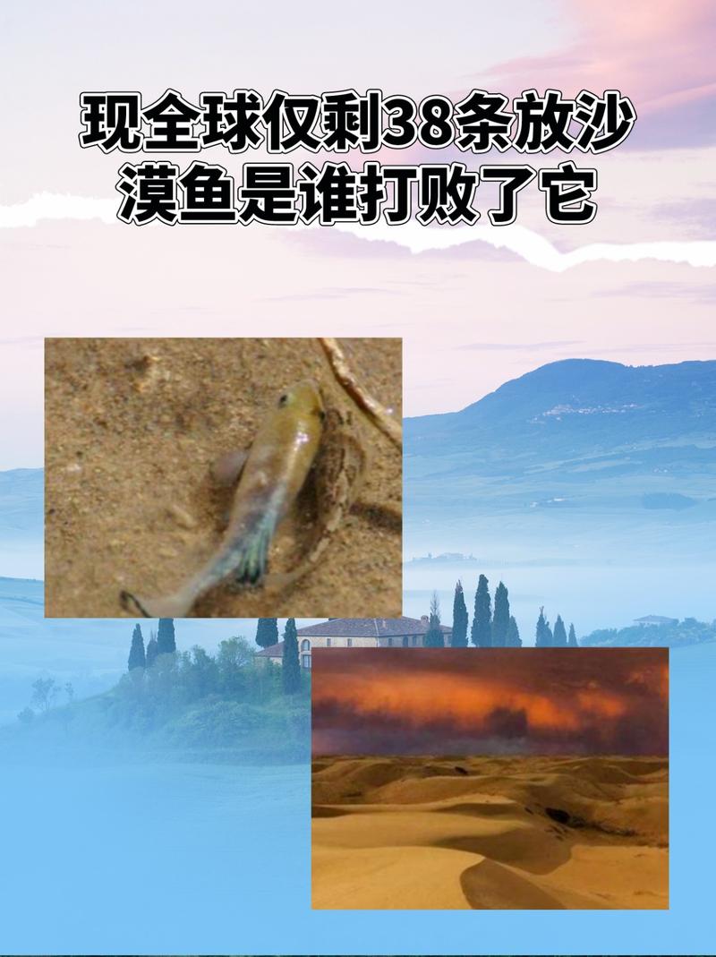 缺水的鱼电脑版下载地址及详细安装指南