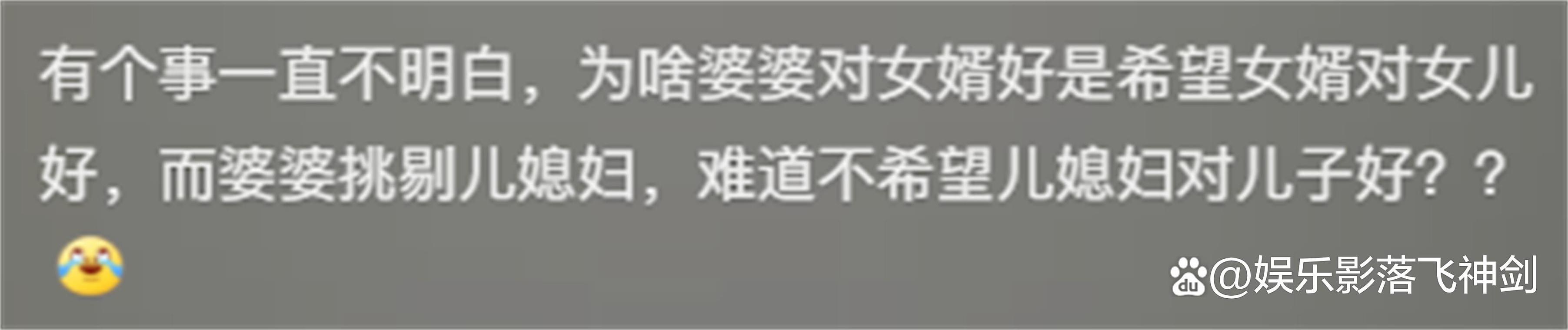 老李和儿媳的相处之道：和谐家庭的秘诀，尽在[产品名称]中