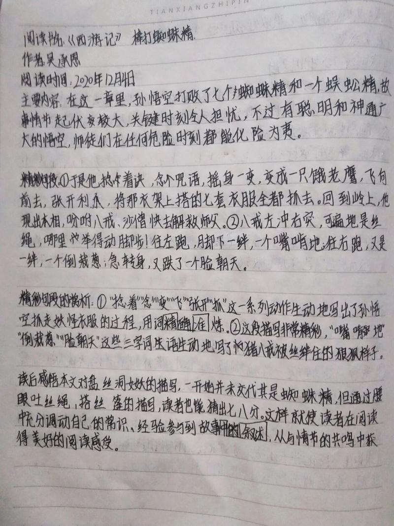 少年西游记中橙将蜘蛛精的缘分深度解析：角色定位与关系纽带探究