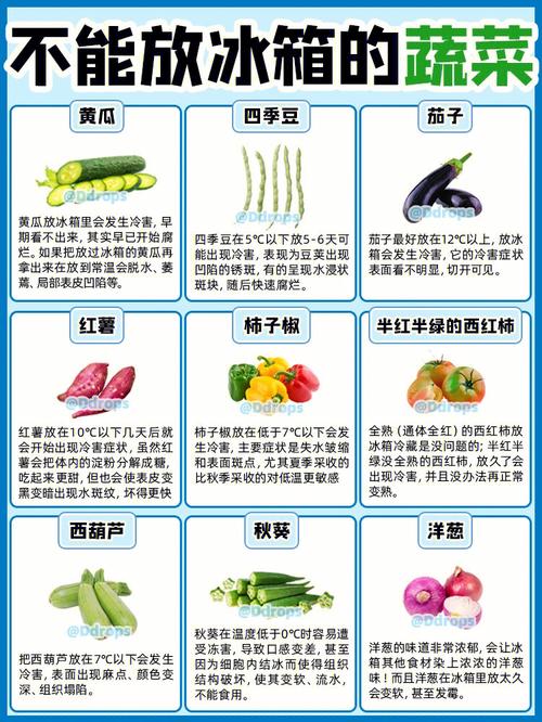 水果、蔬菜、植物食材集合，榴莲、秋葵、向日葵、丝瓜、黄瓜、蕾丝的全面介绍