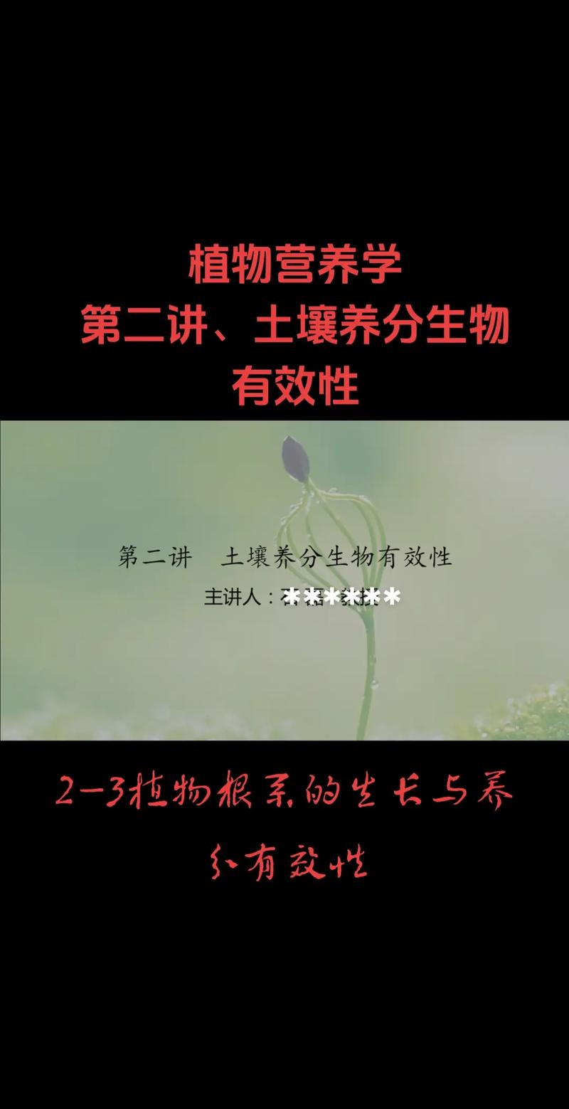 优质精液灌溉系统可以高效地为植物提供养分，促进生长发育