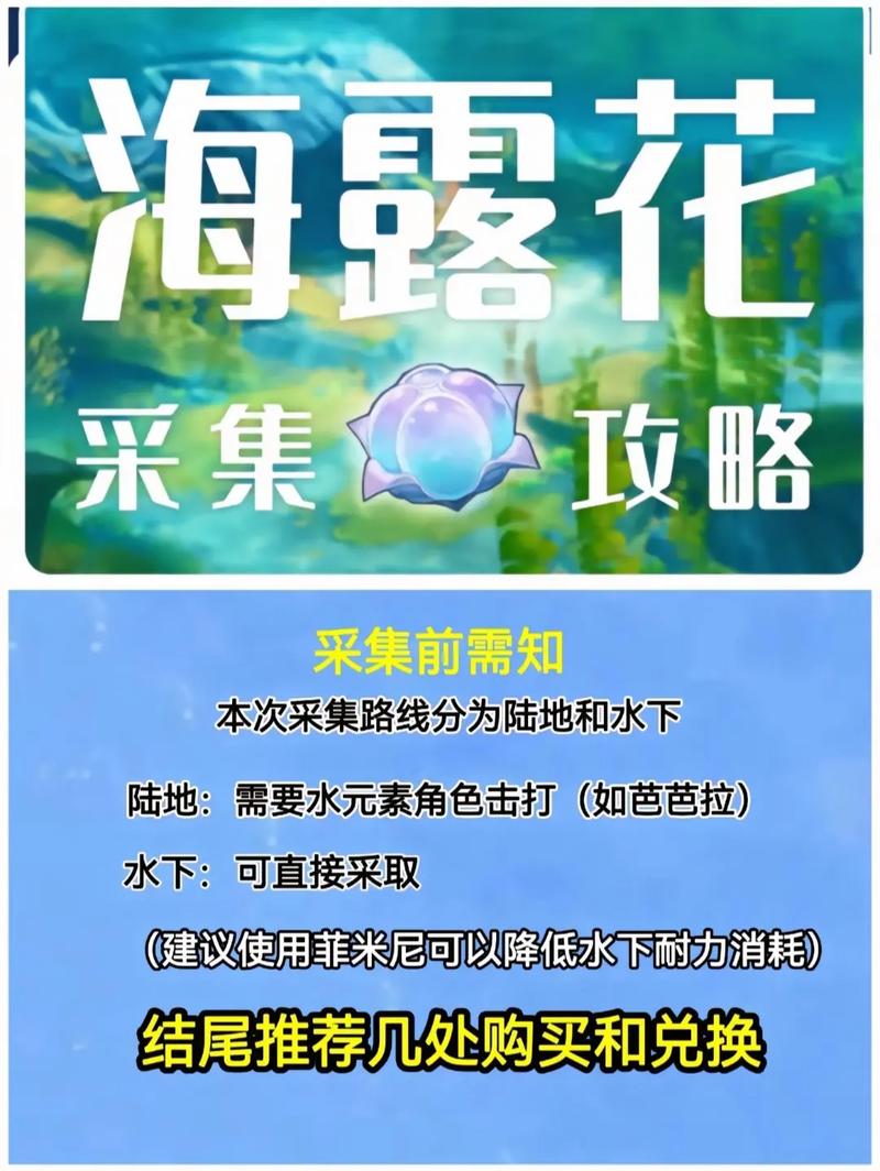 菲米尼突破材料获取攻略：海露花收集位置全解析，轻松收集助力角色突破