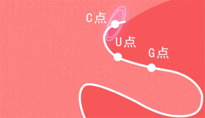 新手自 W 到高 C 教程视频：全方位指导，让你轻松掌握技巧