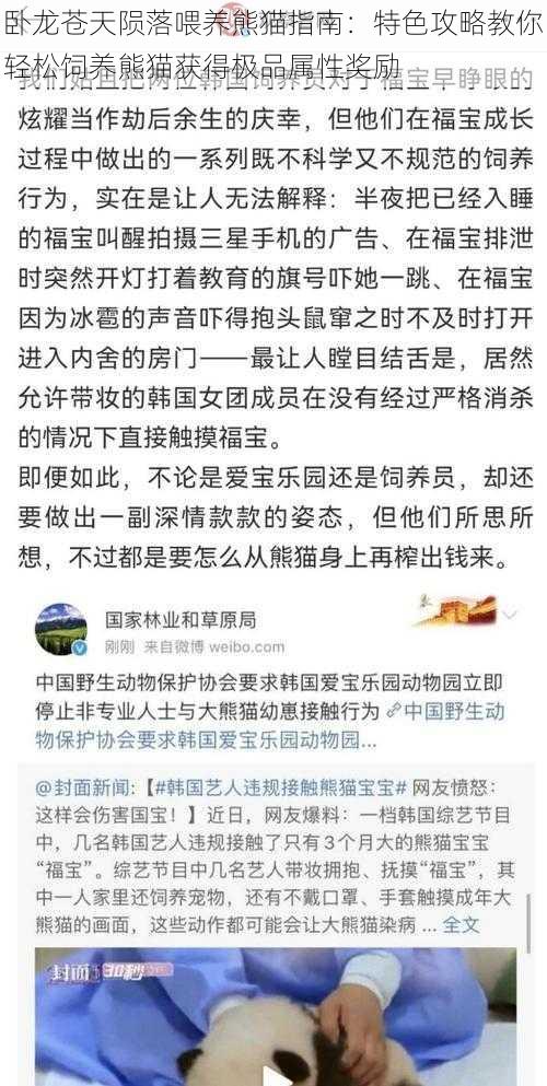 卧龙苍天陨落喂养熊猫指南：特色攻略教你轻松饲养熊猫获得极品属性奖励