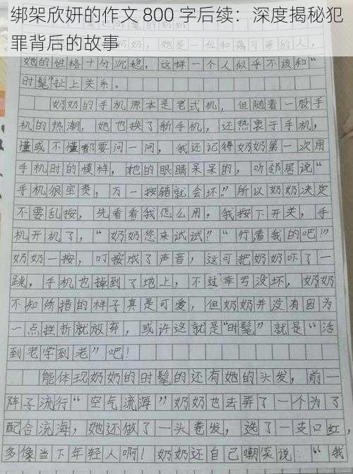 绑架欣妍的作文 800 字后续：深度揭秘犯罪背后的故事