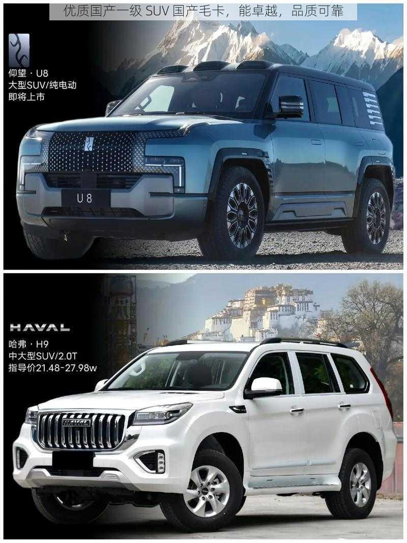 优质国产一级 SUV 国产毛卡，能卓越，品质可靠