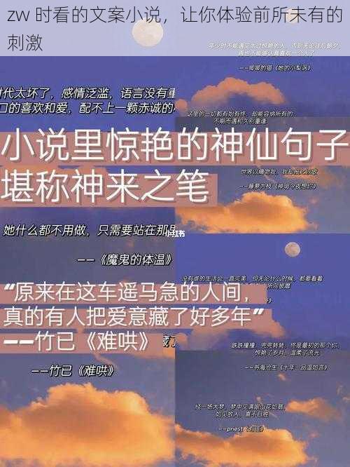 zw 时看的文案小说，让你体验前所未有的刺激