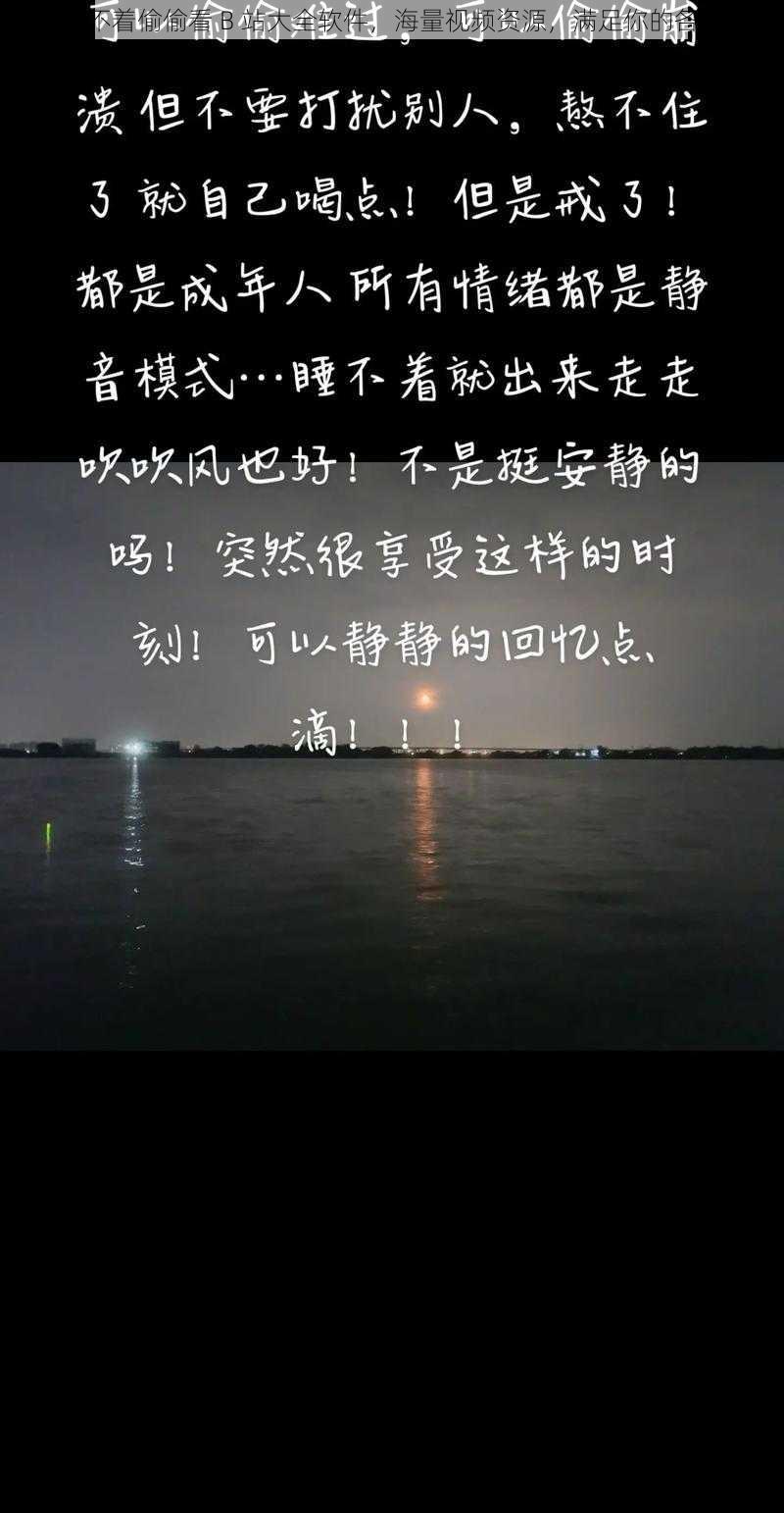 晚上睡不着偷偷看 B 站大全软件，海量视频资源，满足你的各种需求