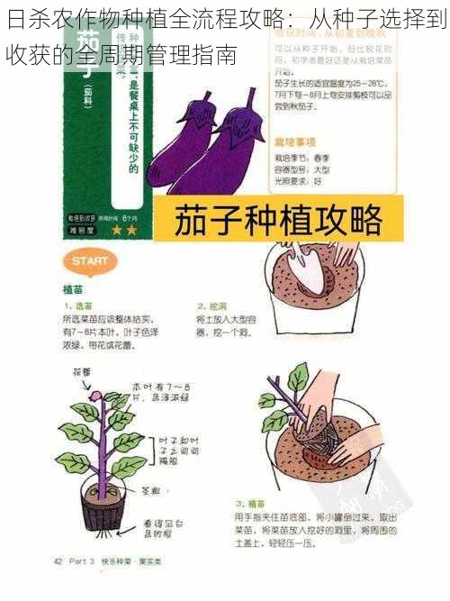 日杀农作物种植全流程攻略：从种子选择到收获的全周期管理指南