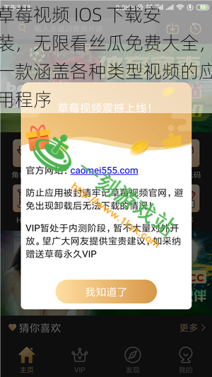 草莓视频 IOS 下载安装，无限看丝瓜免费大全，一款涵盖各种类型视频的应用程序