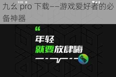 九幺 pro 下载——游戏爱好者的必备神器